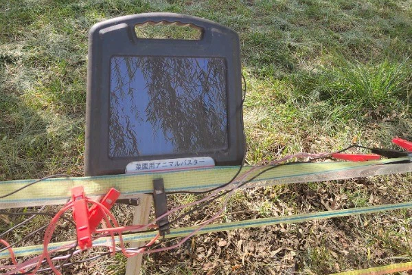 Was ist die Elektrozaunmethode